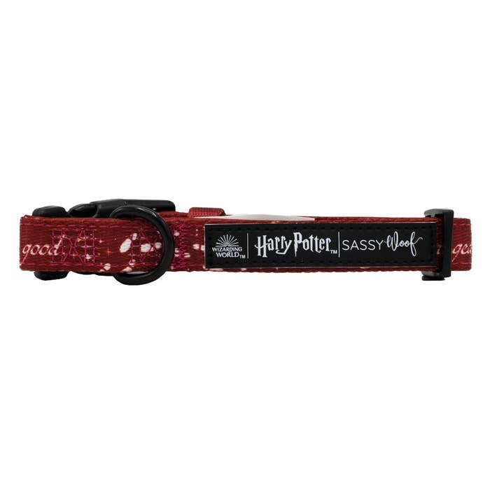 SASSY WOOF - Wholesale Pet Collar - Dog - Dog Collar - Harry Potterâ„¢ Marauder's Mapâ„¢