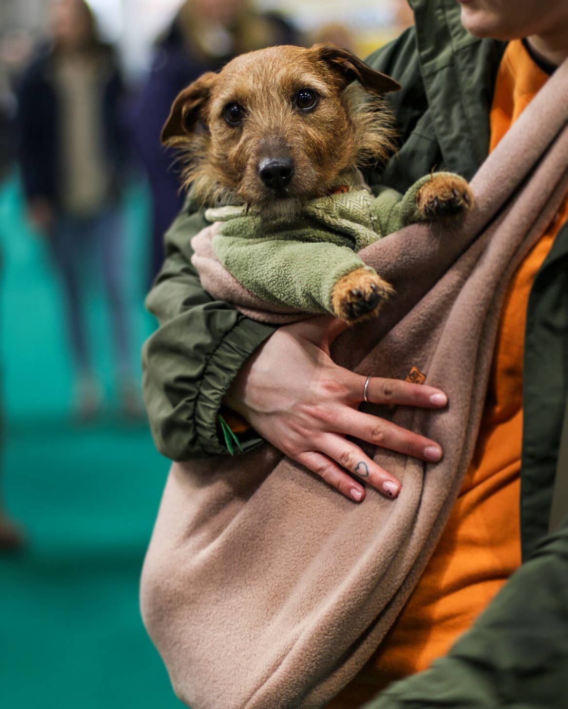 Hugo and Ted Ltd - Vente Caisse de transport – chien - Écharpe porte-chien en polaire5