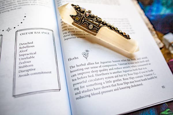 Bella deLuna - Wholesale Body, Mind & Spirit - Astrological Soul Care: Self-Care for the Wheel of the Year3