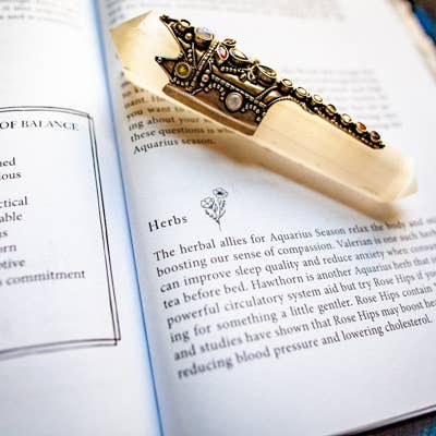 Bella deLuna - Wholesale Body, Mind & Spirit - Astrological Soul Care: Self-Care for the Wheel of the Year3