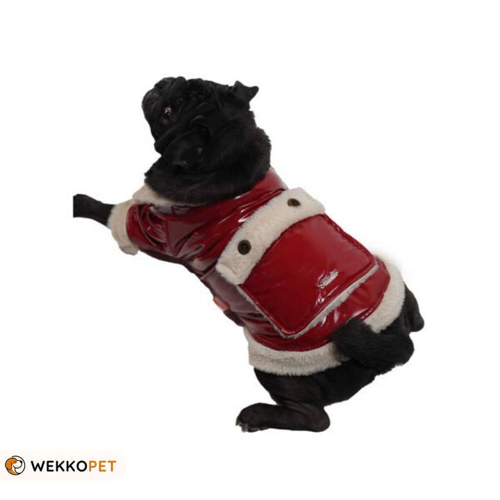 (LOT DE 5) Manteau pour chien de haute qualité, rouge Clara, cadeau parfait pour les amoureux des chiens, WEKKOPET pour la vente par WEKKOPET