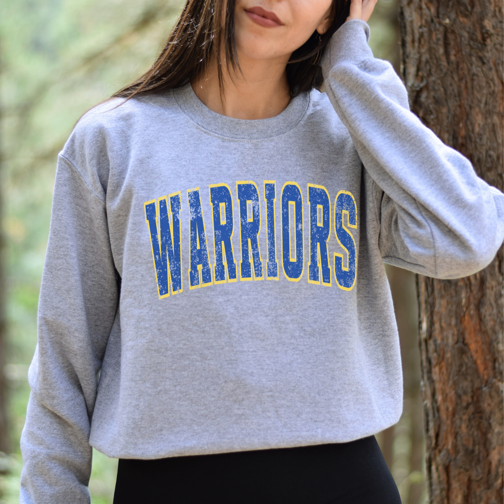 Fan Gear Central - Wholesale Graphic Sweatshirt - Unisex - Warriors Sweatshirt – Gray Classic Graphic Crewneck1