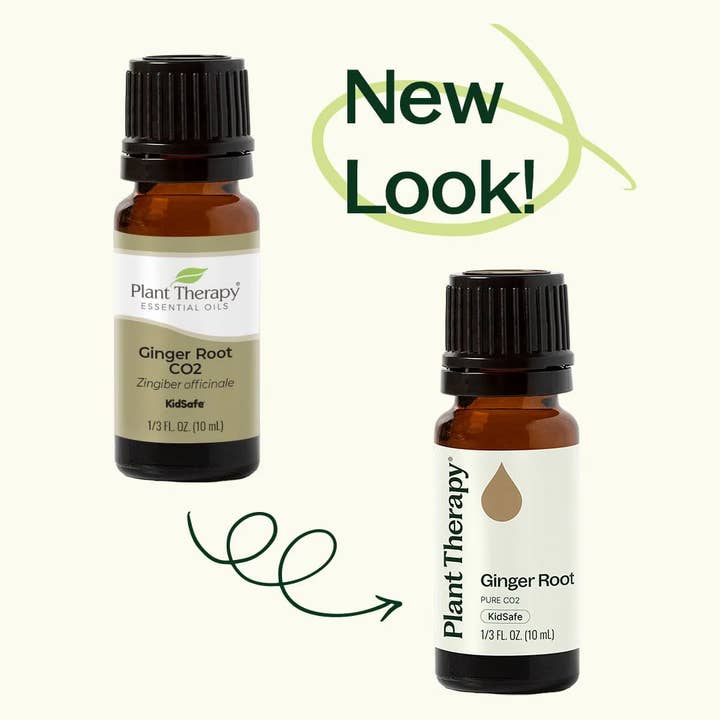 Plant Therapy - Wholesale Essential Oil - Ginger Root CO2 Extract 10 mL2