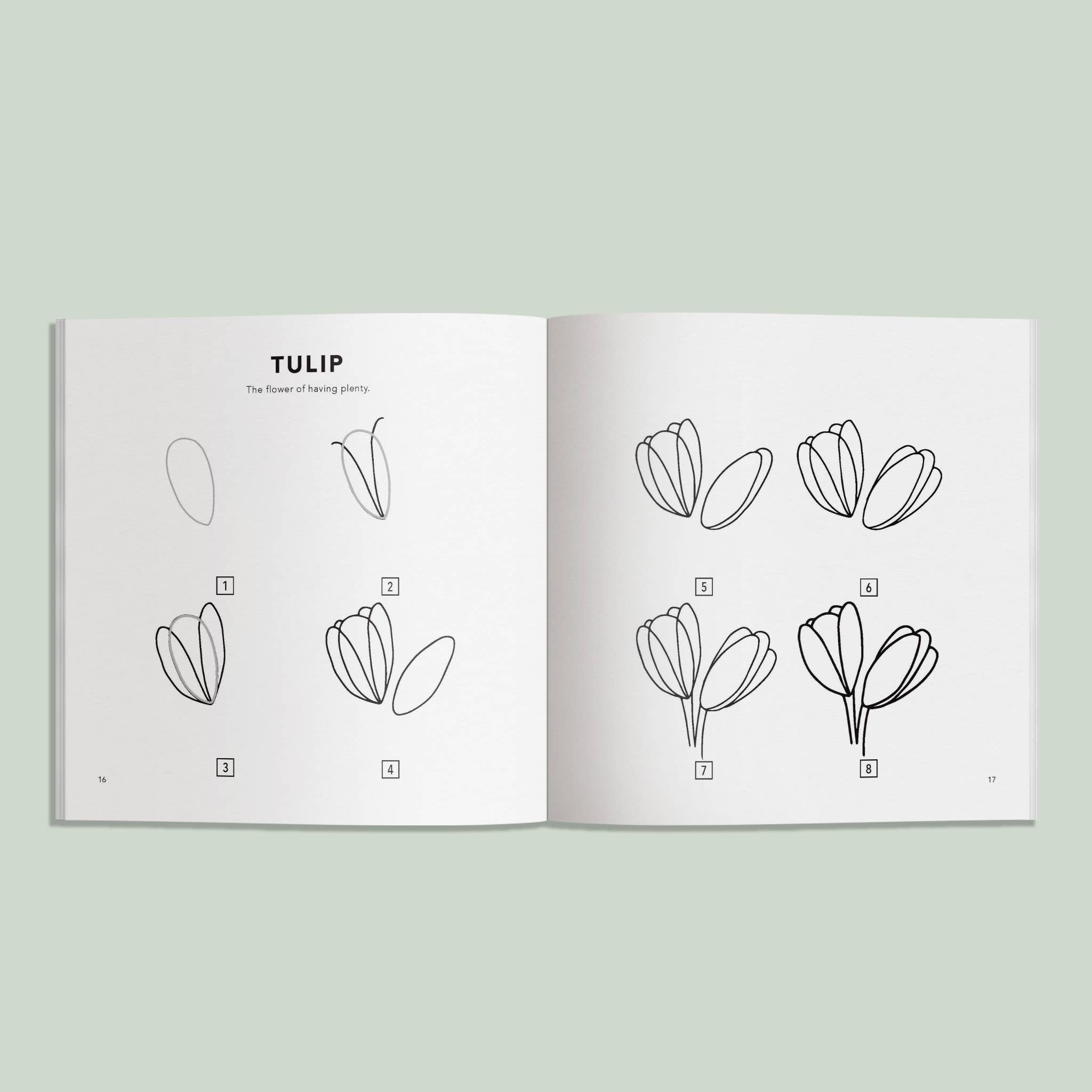 Paige Tate & Co. - Wholesale Colouring and activity book – kids and baby - Spring Things: How to Draw Books for Kids 2