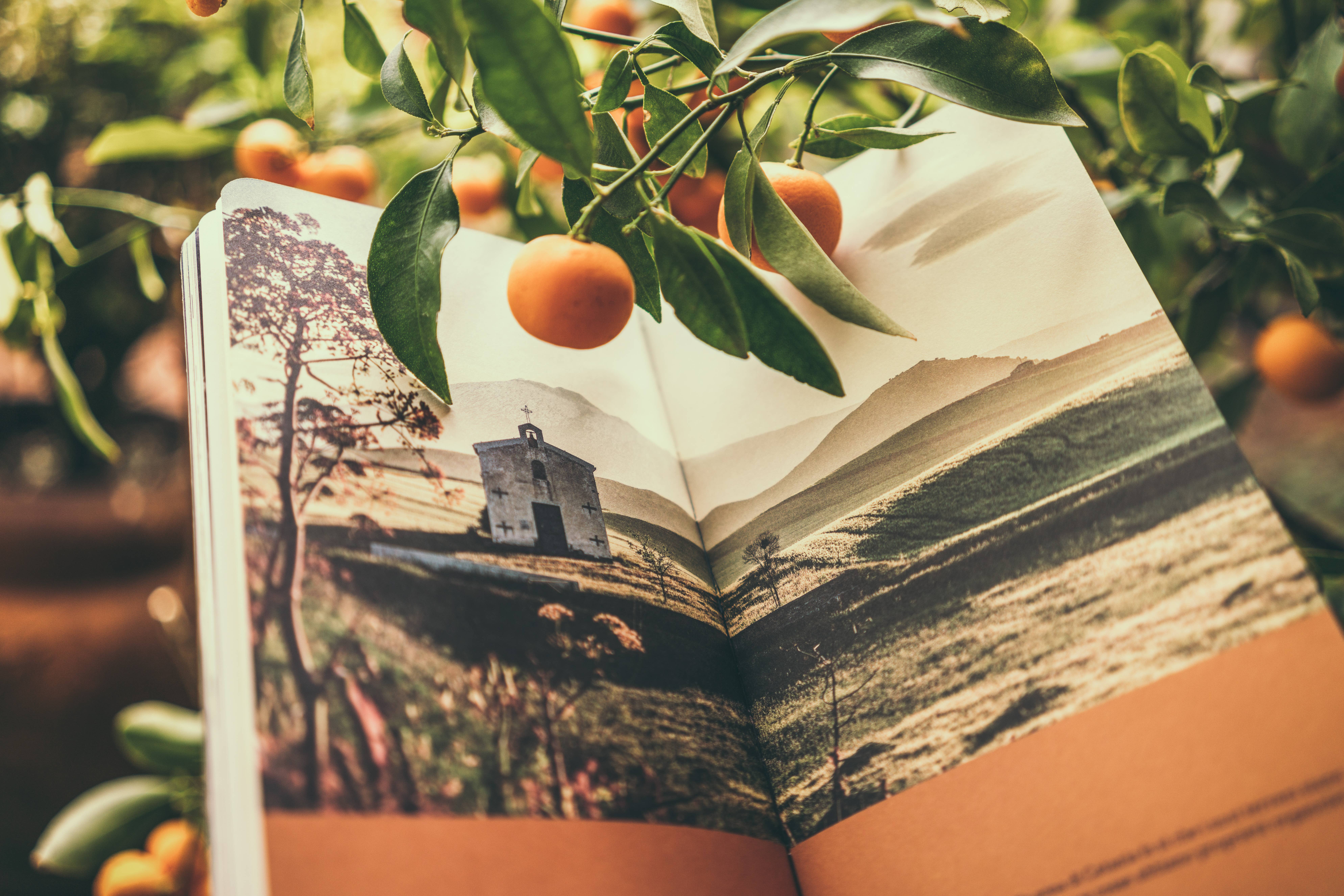 sime srl - Wholesale Journal/Diary - Reisetagebuch, Notizbuch, Journal, Sicily, Sicily,6