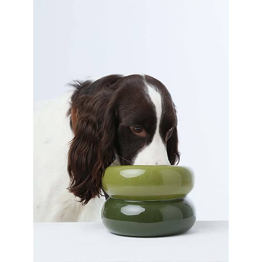 PEHOM - Wholesale Pet Bowl - Cat/Dog - Soufflé Pet Bowl - Avocado Green