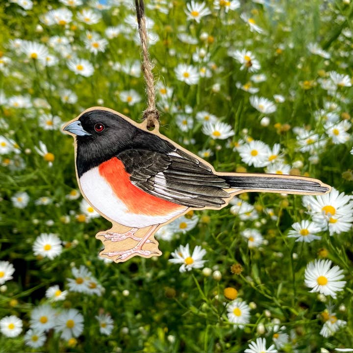 Ornement en bois Tohi à flancs roux pour la vente par Allison Stoiser Art
