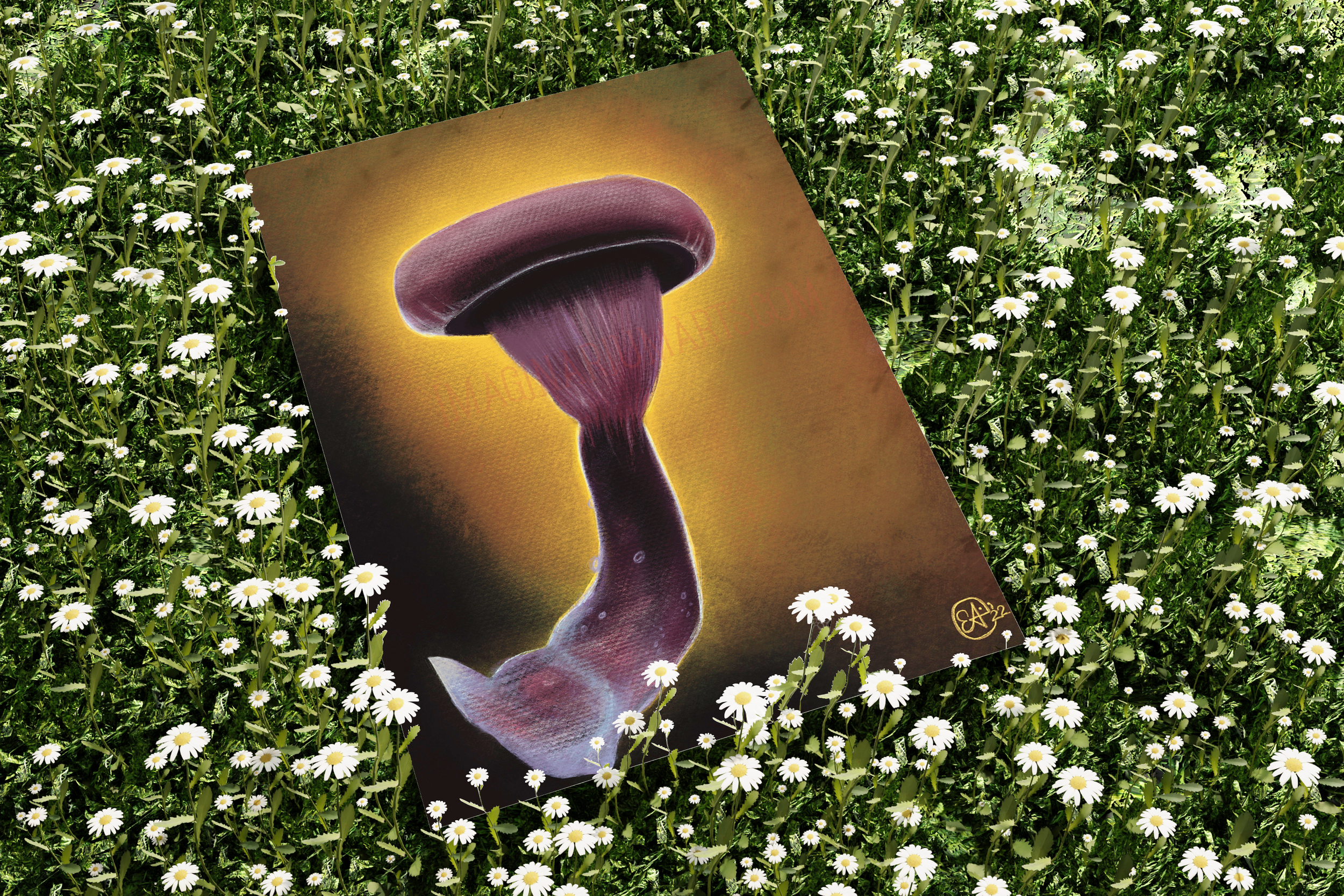 Imaginarium Arts - Wholesale Art Print - Purple Fungi Fine Art Print, 8x103