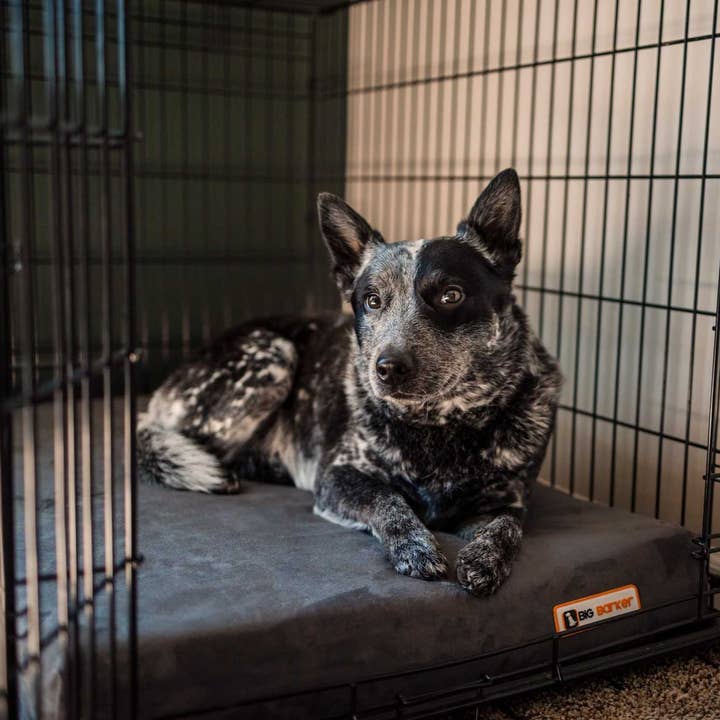 Barker Beds - Wholesale Pet Bed - Dog - 4" Orthopedic Crate Bed4