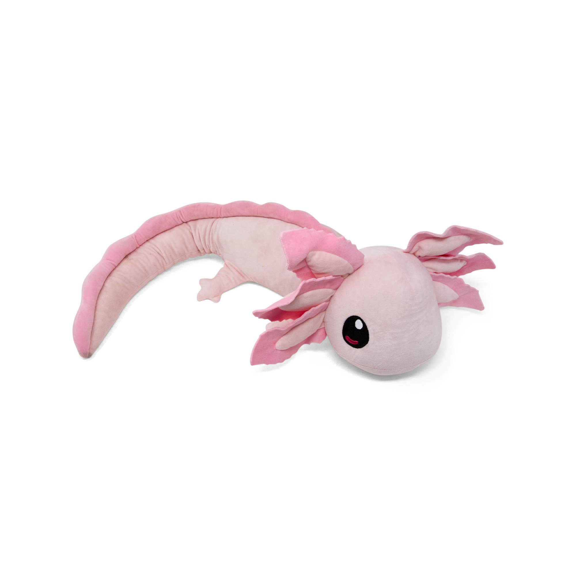 Axol & Friends - Wholesale Stuffed/Plush Toy - Kids & Baby - 4lb Weighted Realistic Axolotl Plush13
