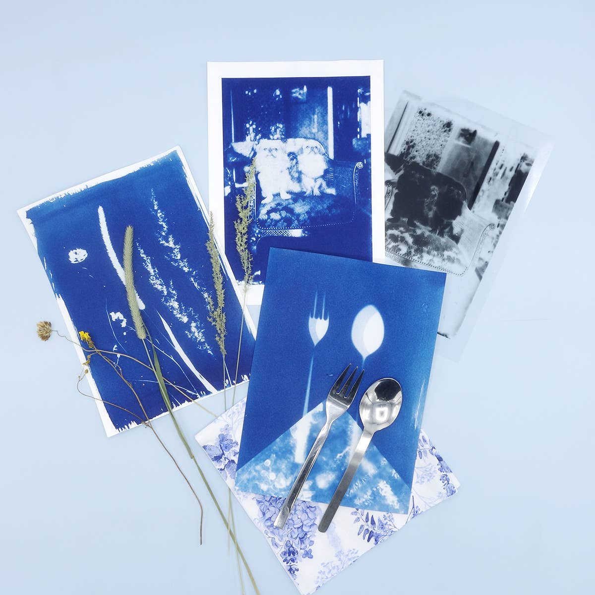 PAR - Wholesale DIY Craft Kit - DIY Cyanotype Kit - Paper3