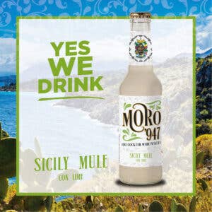 Emporio Sicilia - Wholesale Cocktail Mix/Syrup - Sicily Mule with Lime - Bona
