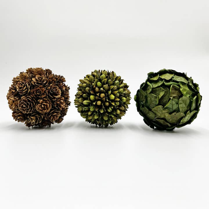 2626 Designs - Wholesale Artificial plant - Box of 3 Preserved Decorative PineCone and Oak Leaves Balls1