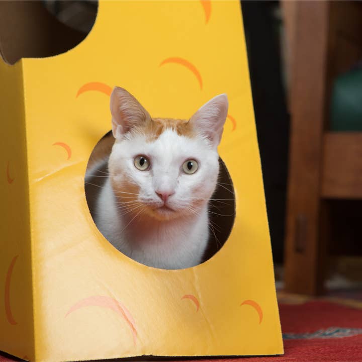 Cat in the Box LLC – wholesale Pet toy – Cat – Monster Cheese Wedge - Cardboard Box Playhouse For Cats