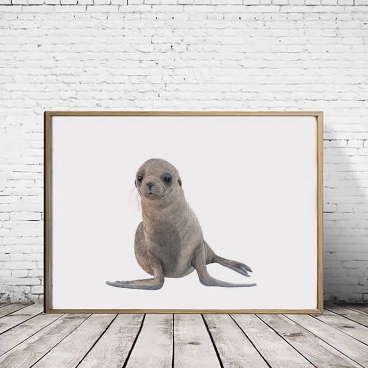 Cape Fur Seal - A4 Print (landscape) for wholesale by Hidden Planet