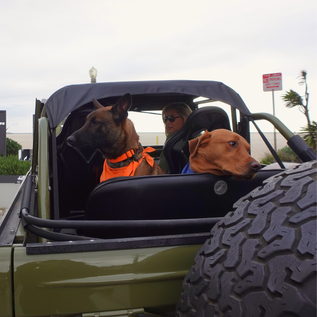 Tilley + Me - Wholesale Pet Leash - Dog - Hemp Cotton Dog Leash - Adjustable & Lightweight10