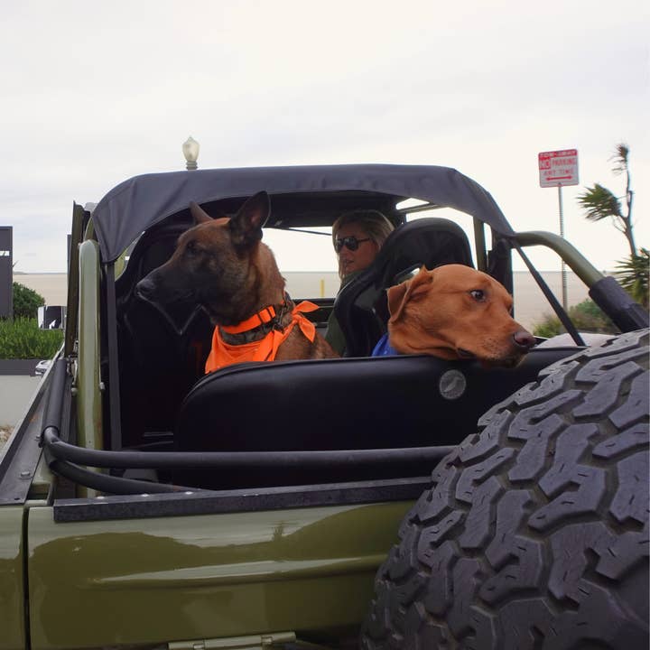 Tilley + Me - Wholesale Pet Leash - Dog - Hemp Cotton Dog Leash - Adjustable & Lightweight10