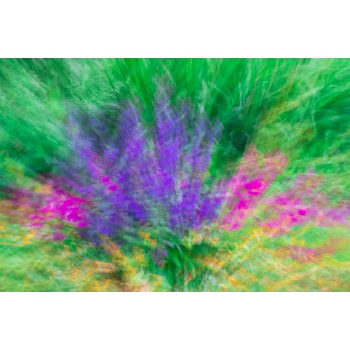 Stampa artistica Abounding Merriment per la vendita all'ingrosso da parte di Christi Kraft Photography