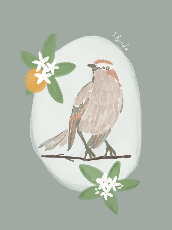 Impresión de pájaros y flores del estado de Florida para venta al por mayor de Daley Kaye Studio