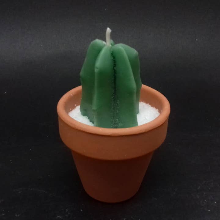 PLATT BARCELONA 1927 – Großhandel Geschenkkerze – Kaktus-Duftkerze im Blumentopf1