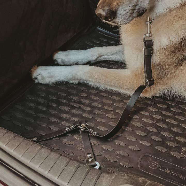 Multifunctional Car Accessory - Biothane for wholesale by Truffe & Flair