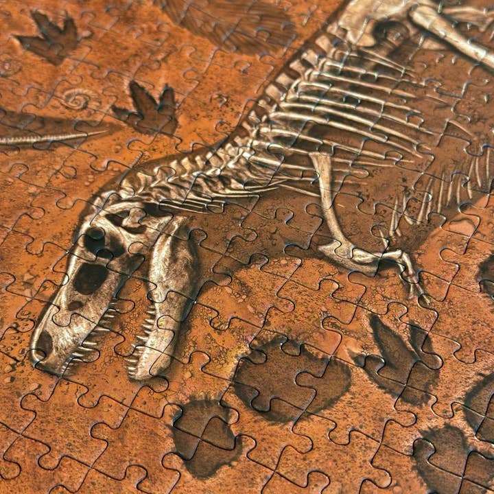 Montrose Biology – Großhandel Puzzle - Erwachsene – „Berühmte Fossilien“ Paläontologie-Puzzle (1k)