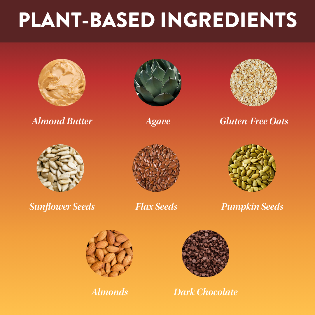 Protein Puck - Wholesale Snack Bar - Daily Bliss Mini (Almond, Dark Chocolate) (12 - 1.34oz Bars)3