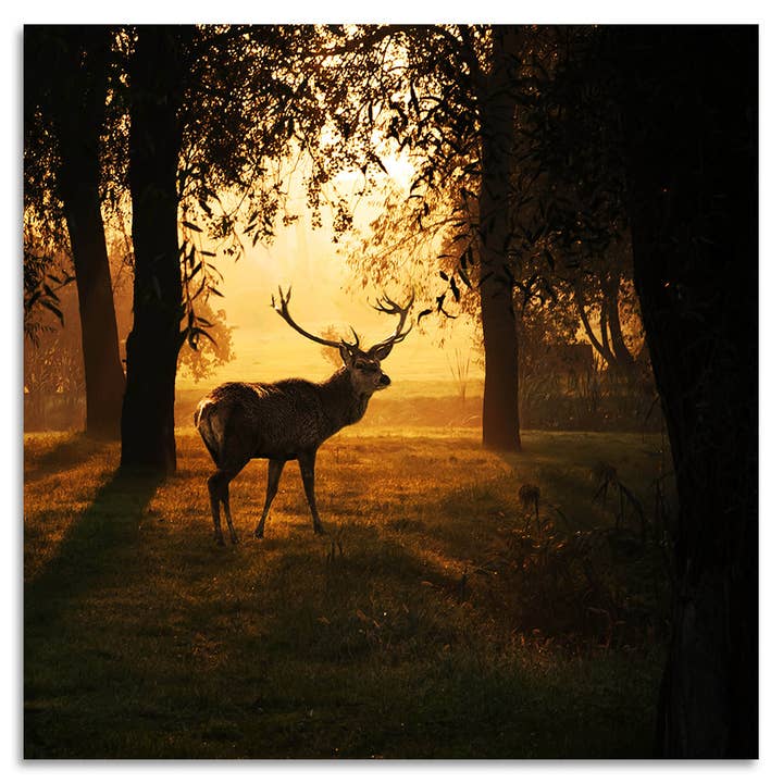 Akrylmaleri - Dusky for engroshandel hos Queence