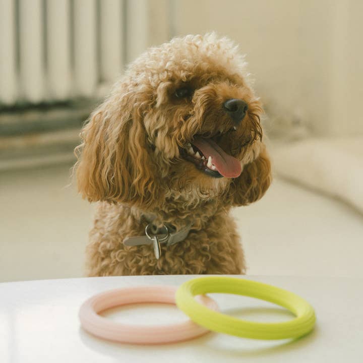 Peachy Dogs - Wholesale Pet Toy - Dog - Loop Toy
