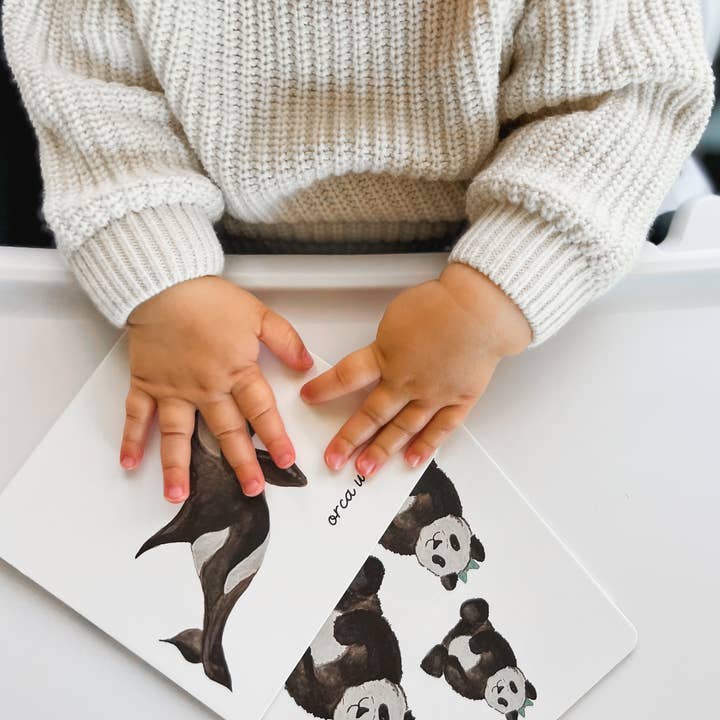 Milliemark - Wholesale Learning Cards - Kids & Baby - Art Cards for Baby4