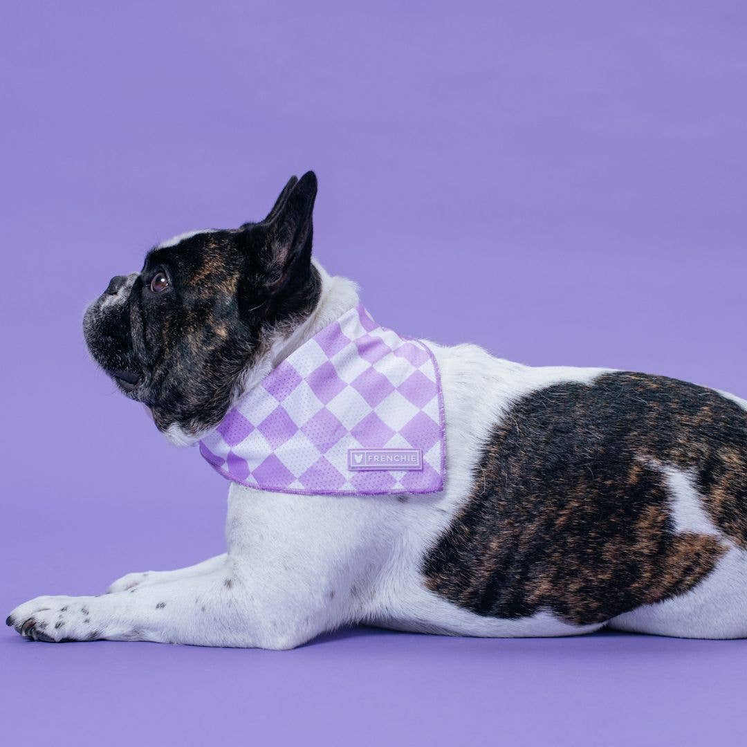 Frenchie - Wholesale Pet Bandana - Dog - Frenchie Cooling Bandana - Lavender1