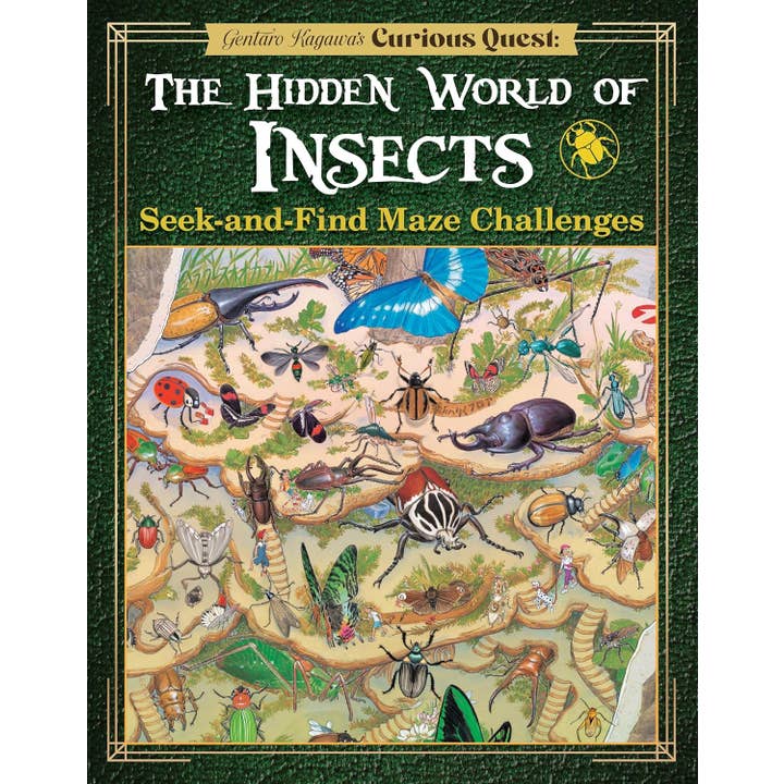 Fox Chapel Publishing - Wholesale Preschool Book (3-5) - Curious Quest - Hidden World of Insects-Seek-and-Find Mazes