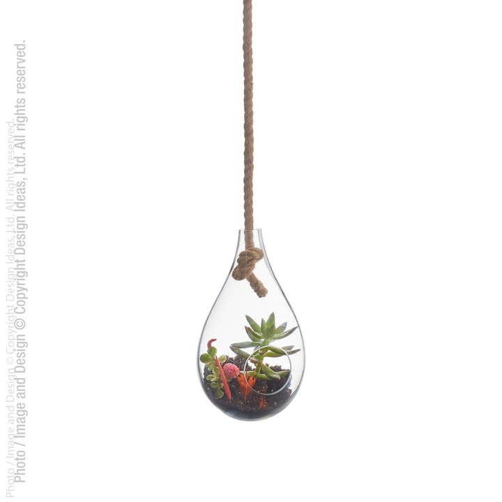 Boboli™ hanging terrarium (6 dia. x 10 in.) for wholesale by texxture & Design Ideas