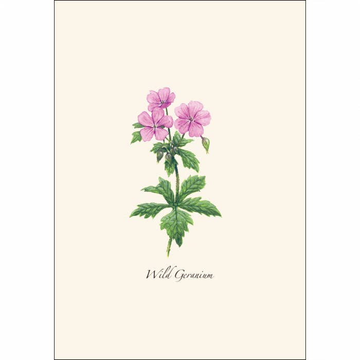 Earth Sky + Water - Wholesale Stationery/Notecard Set - Meadow Wildflower Asst.