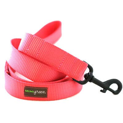 Mimi Green - Wholesale Pet Leash - Dog - Nylon Webbing Dog Leash (23 colors!)19