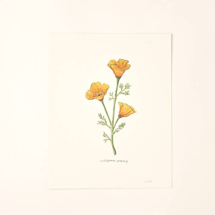 California Golden Poppy Wildflower Art Print Home Wall Decor for wholesale by Little Salt Wagon