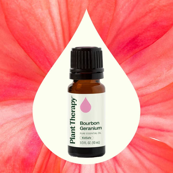 Plant Therapy - Wholesale Essential Oil - Bourbon Geranium Essential Oil 10 mL