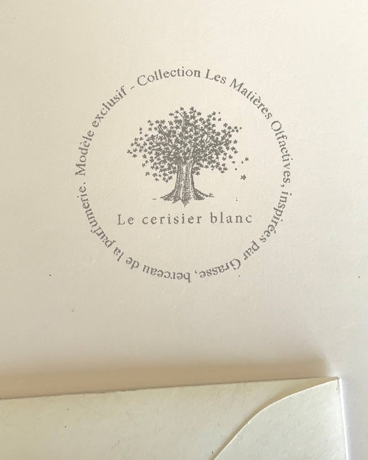 Le cerisier blanc - Wholesale Everyday Greeting Card - Double card "Mimosa"3