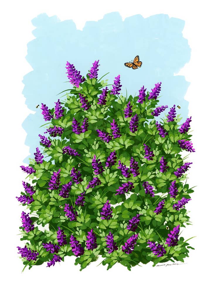 Días Pasan - Impresión de Bellas Artes para venta al por mayor de Annie Parkes