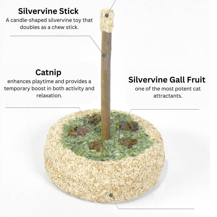 CATWANT - Wholesale Pet Toy - Cat - Silvervine Birthday Cake