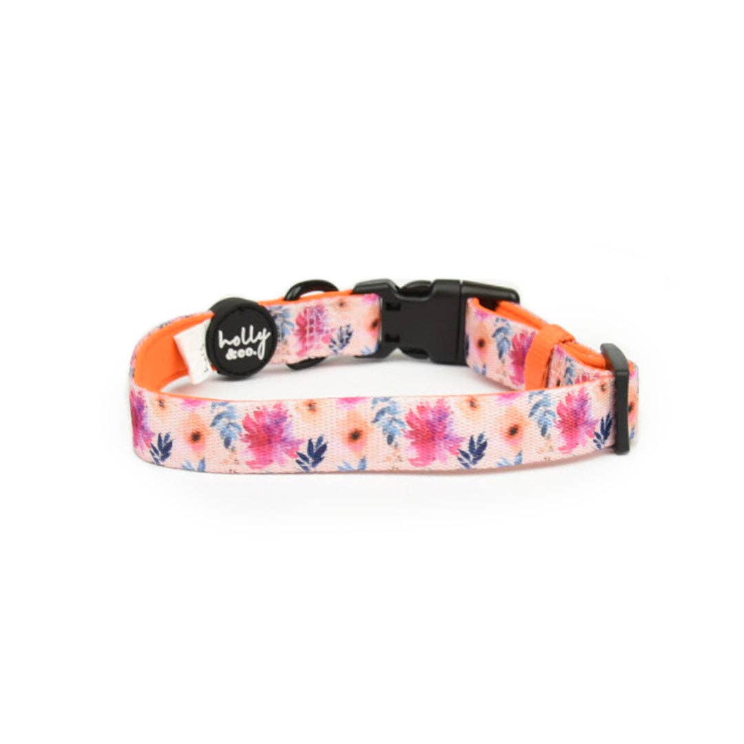 Holly and Co Australia Pty Ltd - Wholesale Pet Collar - Dog - Dog Collar // Sweet Coraline1