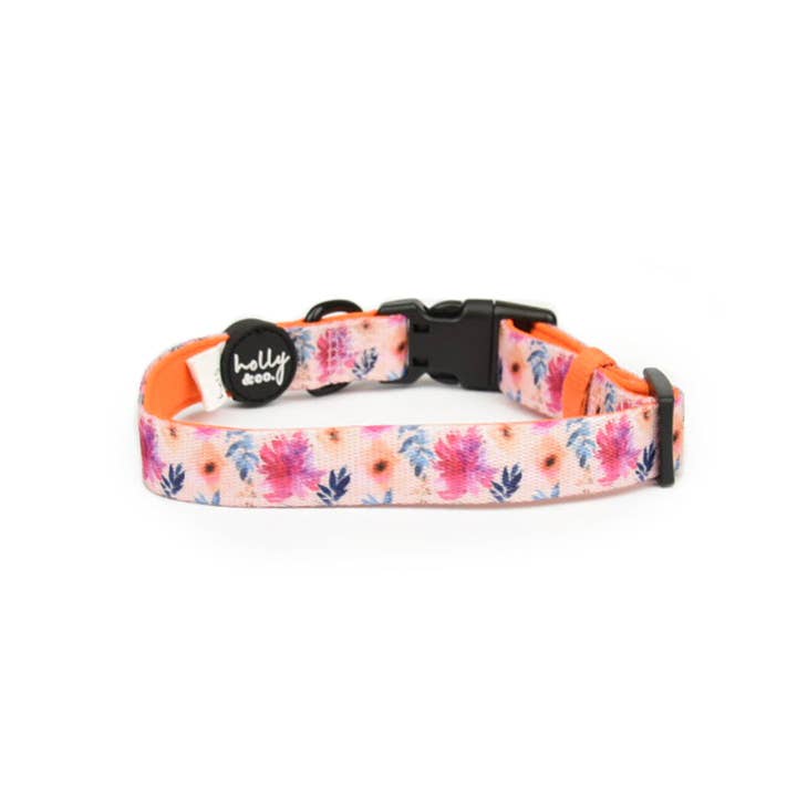 Holly and Co Australia Pty Ltd - Wholesale Pet Collar - Dog - Dog Collar // Sweet Coraline1