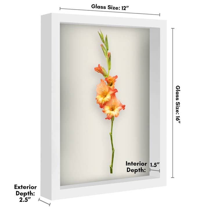 Americanflat - Wholesale Picture Frame - Americanflat Shadow Box Frame with Soft Felt Back32
