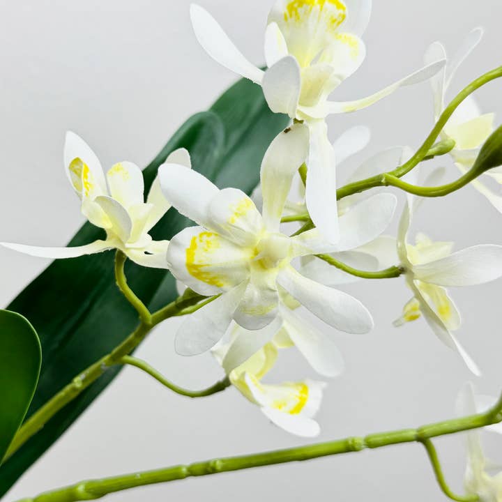 Angel Isabella - Wholesale Artificial Flowers - 17"Artificial Arachnis Orchid Real Touch Leaves