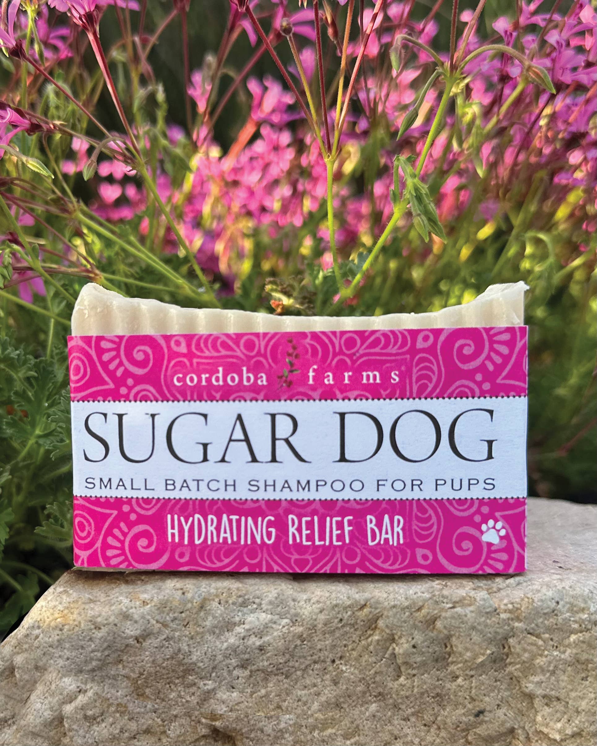 Cordoba Farms - Wholesale Pet Shampoo - Dog - SUGAR DOG