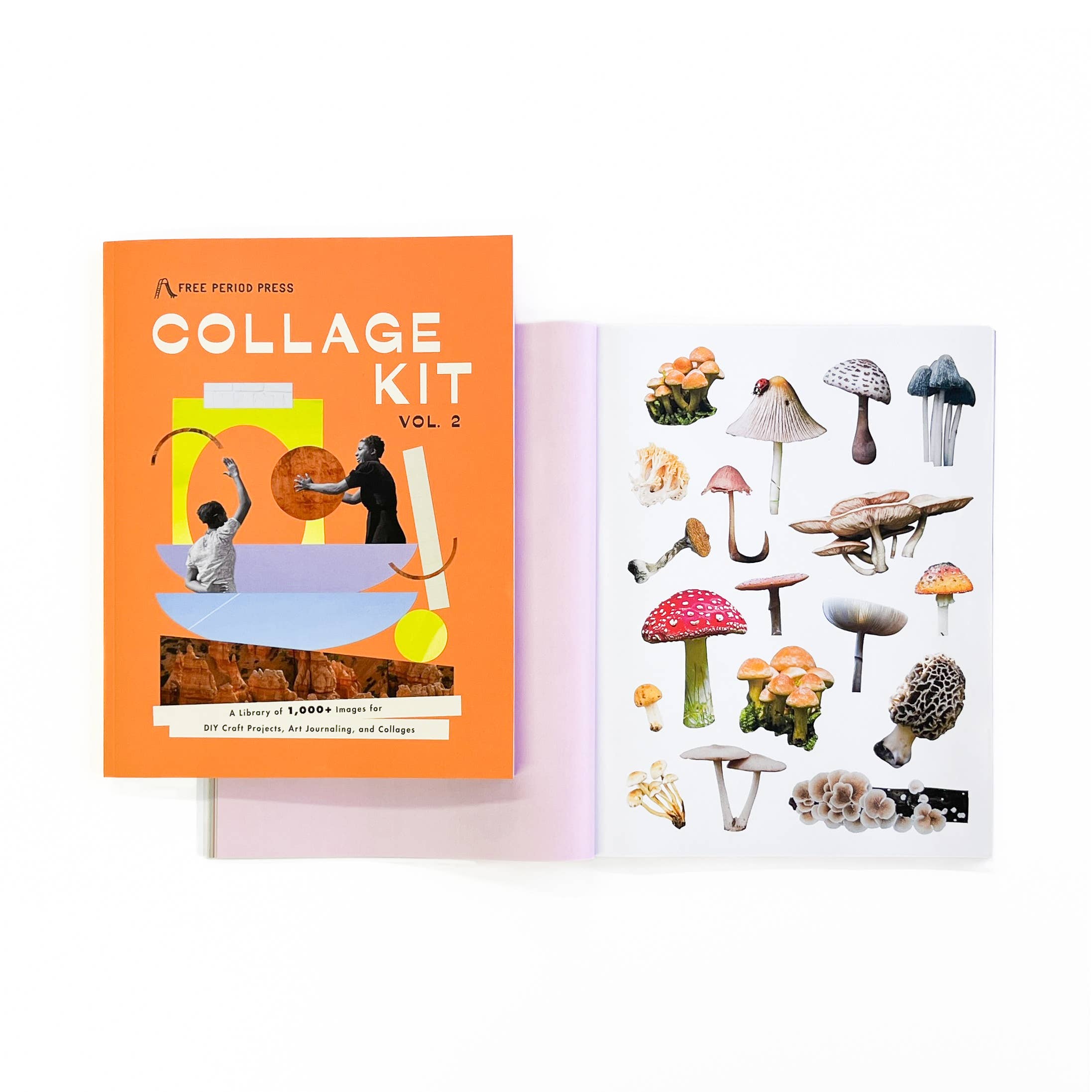 Free Period Press - Wholesale DIY Craft Kit - Collage Kit Magazine Vol. 22