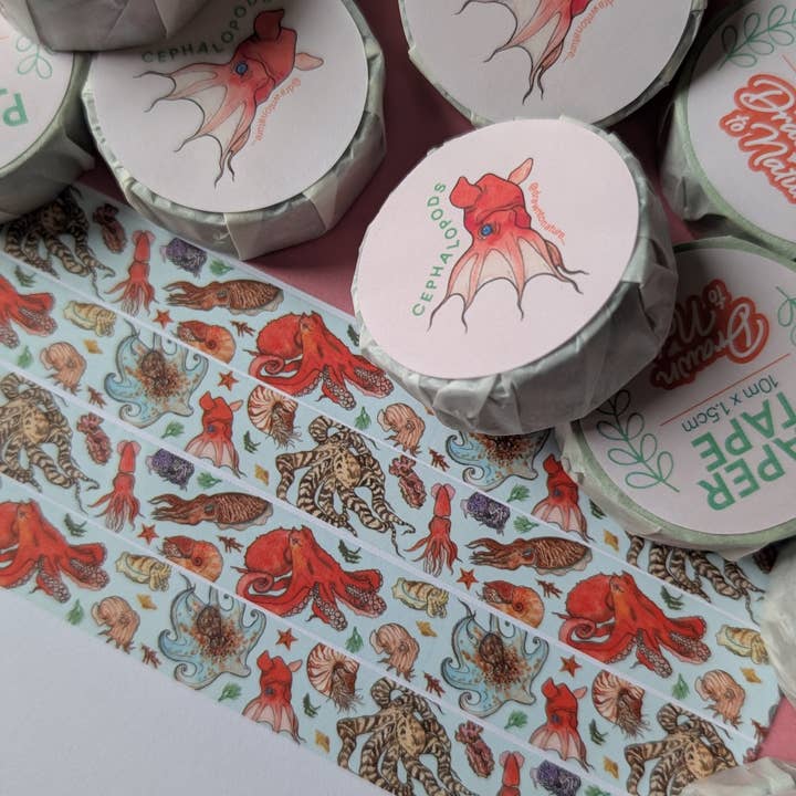 Cefalópodes Washi Tape por atacado de Drawn to Nature