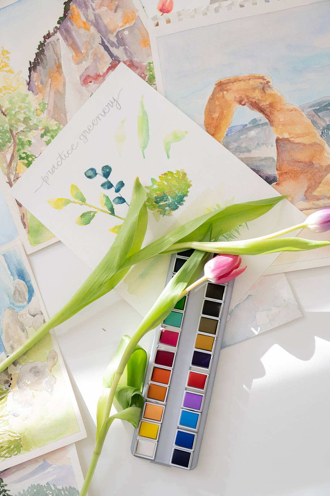 Bailey Rae Studio - Wholesale Watercolor Paint - National Parks Watercoloring Book-Outlines w/Video Tutorials11