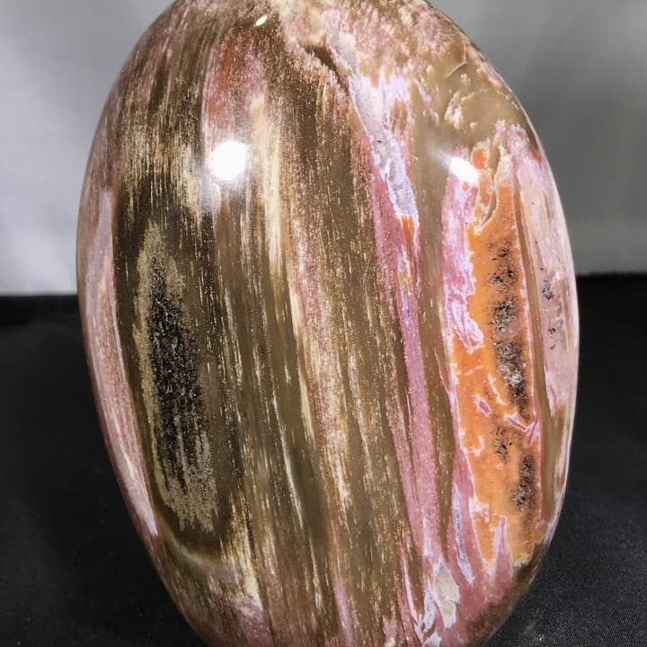 Petrified Wood Free Forms for wholesale by Quasar Gems USA