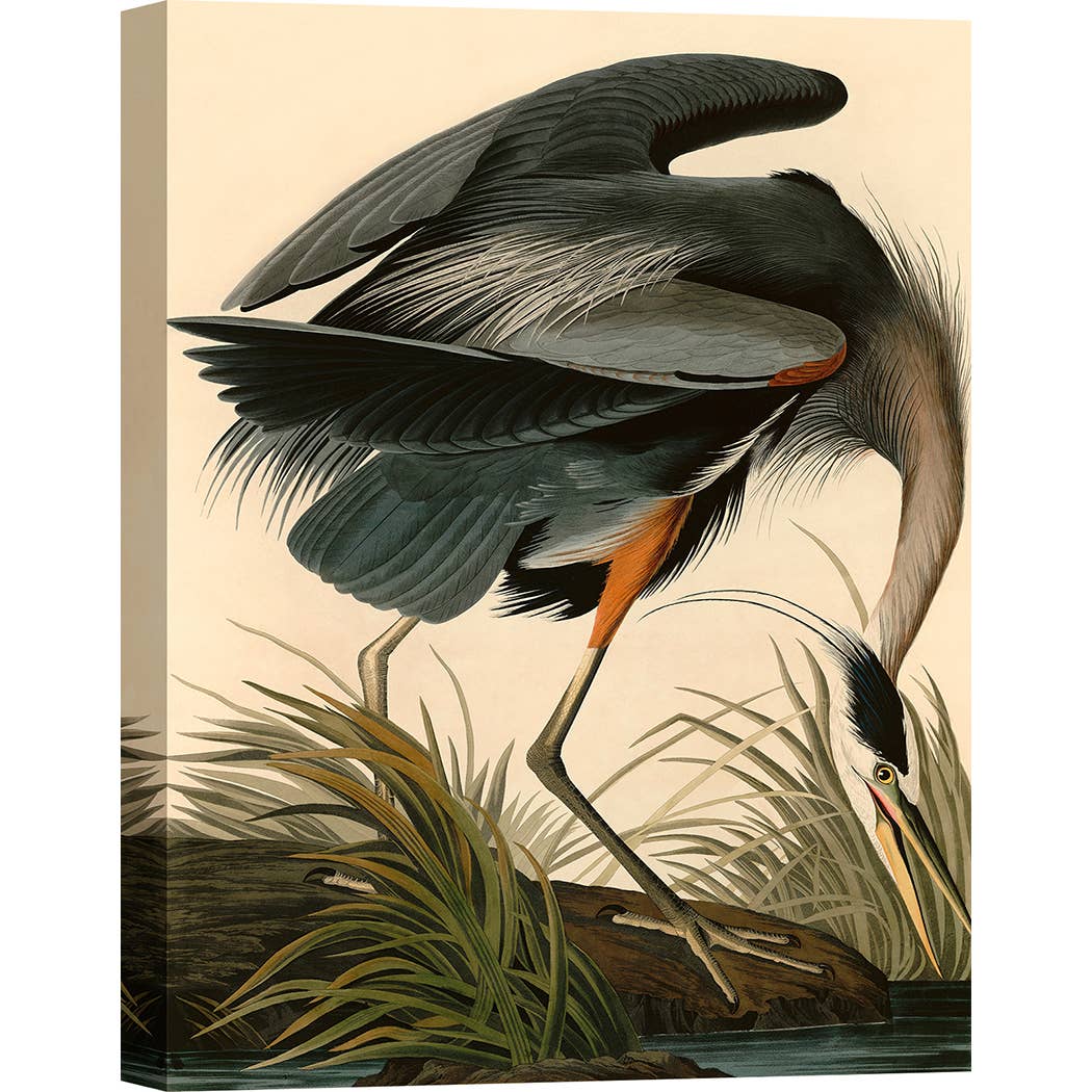 Selected Artworks Italia – Großhandel Kunstdruck – Klassisches Gemälde, Leinwanddruck: Audubon, Blaureiher1